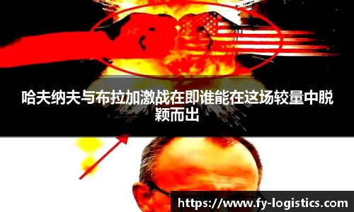 NG.28体育